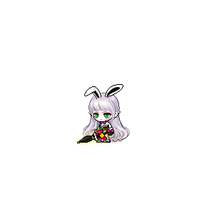 을 사용한 메이플스토리 메애기 코디