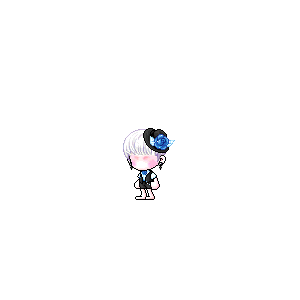 을 사용한 메이플스토리 메애기 코디