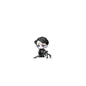 을 사용한 메이플스토리 메애기 코디