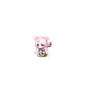 을 사용한 메이플스토리 메애기 코디