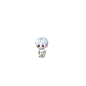 을 사용한 메이플스토리 메애기 코디