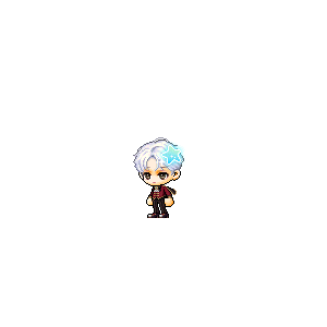 을 사용한 메이플스토리 메애기 코디