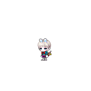 을 사용한 메이플스토리 메애기 코디