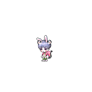 을 사용한 메이플스토리 메애기 코디