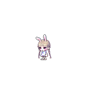 을 사용한 메이플스토리 메애기 코디