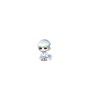 을 사용한 메이플스토리 메애기 코디
