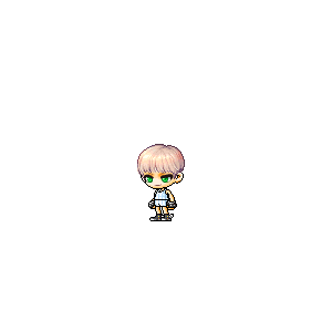 을 사용한 메이플스토리 메애기 코디