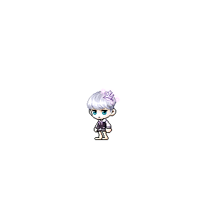 을 사용한 메이플스토리 메애기 코디