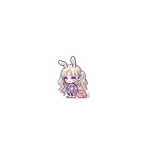 을 사용한 메이플스토리 메애기 코디