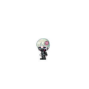을 사용한 메이플스토리 메애기 코디