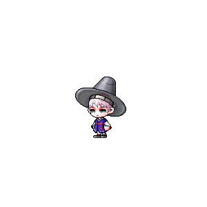 을 사용한 메이플스토리 메애기 코디