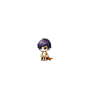 을 사용한 메이플스토리 메애기 코디
