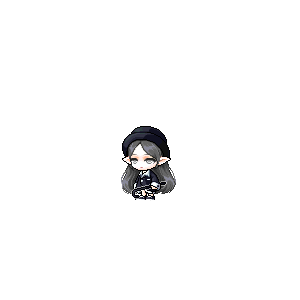 을 사용한 메이플스토리 메애기 코디