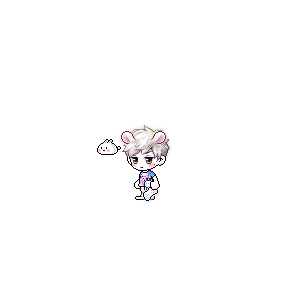 을 사용한 메이플스토리 메애기 코디