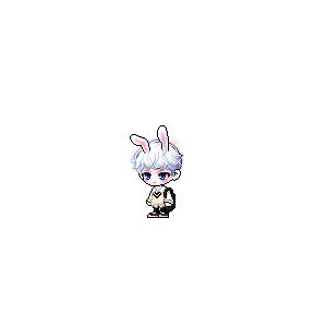 을 사용한 메이플스토리 메애기 코디