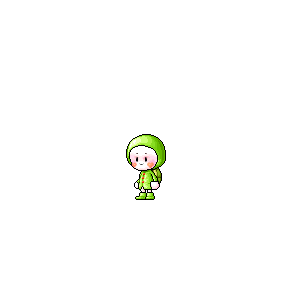 을 사용한 메이플스토리 메애기 코디
