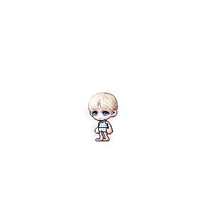 을 사용한 메이플스토리 메애기 코디