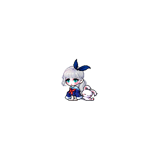 을 사용한 메이플스토리 메애기 코디