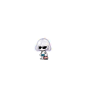 을 사용한 메이플스토리 메애기 코디