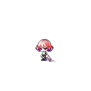 을 사용한 메이플스토리 메애기 코디
