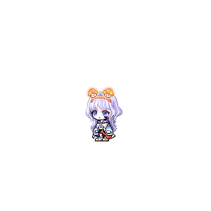 롤대리정용팀