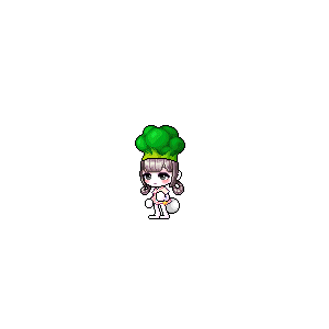 을 사용한 메이플스토리 메애기 코디
