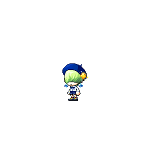 을 사용한 메이플스토리 메애기 코디