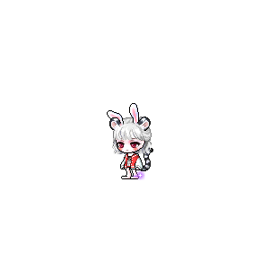 을 사용한 메이플스토리 메애기 코디