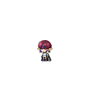 을 사용한 메이플스토리 메애기 코디