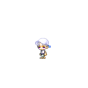 을 사용한 메이플스토리 메애기 코디