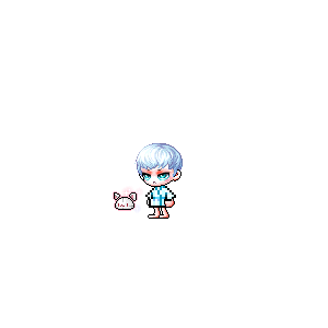 을 사용한 메이플스토리 메애기 코디