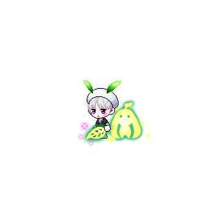 을 사용한 메이플스토리 메애기 코디