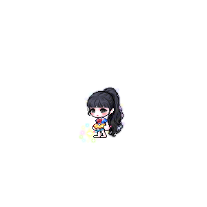 을 사용한 메이플스토리 메애기 코디