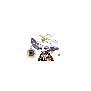 을 사용한 메이플스토리 메애기 코디