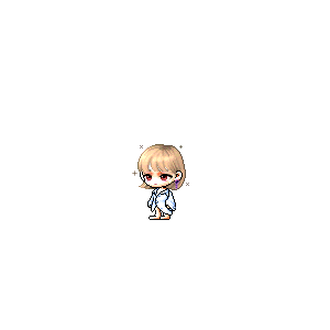 을 사용한 메이플스토리 메애기 코디