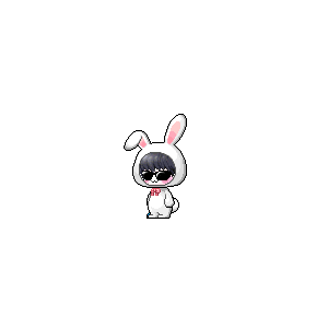 을 사용한 메이플스토리 메애기 코디