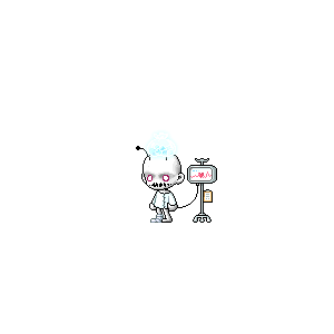 면티콩