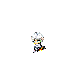 을 사용한 메이플스토리 메애기 코디