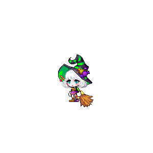 을 사용한 메이플스토리 메애기 코디