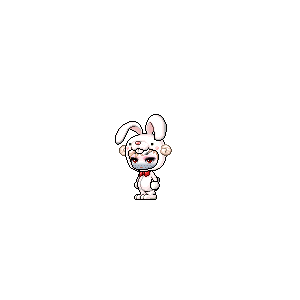 을 사용한 메이플스토리 메애기 코디