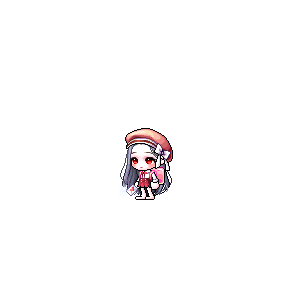 을 사용한 메이플스토리 메애기 코디