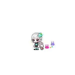 을 사용한 메이플스토리 메애기 코디