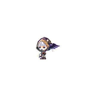 을 사용한 메이플스토리 메애기 코디
