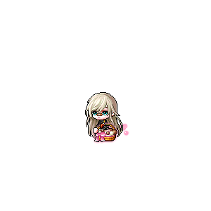 을 사용한 메이플스토리 메애기 코디