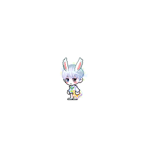 을 사용한 메이플스토리 메애기 코디