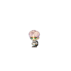 을 사용한 메이플스토리 메애기 코디