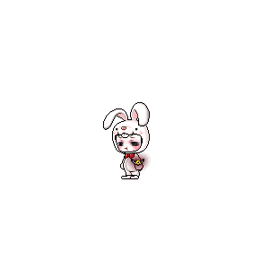 을 사용한 메이플스토리 메애기 코디