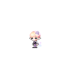 을 사용한 메이플스토리 메애기 코디