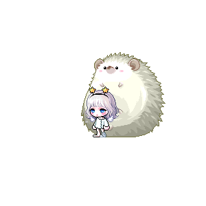 을 사용한 메이플스토리 메애기 코디