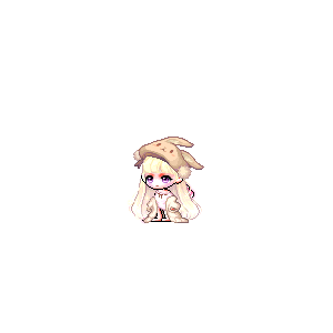 을 사용한 메이플스토리 메애기 코디